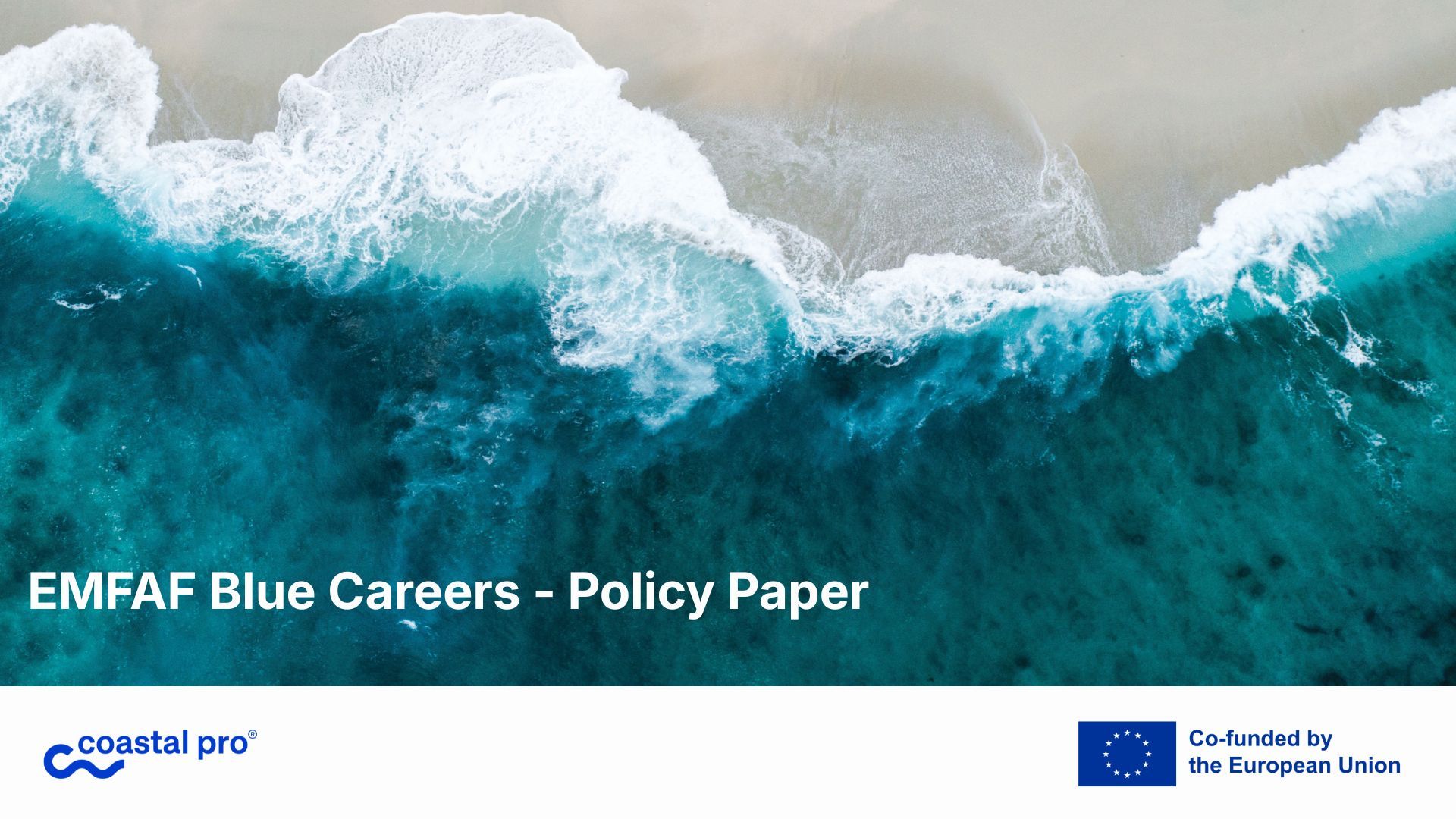 From workshop to policy: publishing the EMFAF Blue Careers Policy Paper